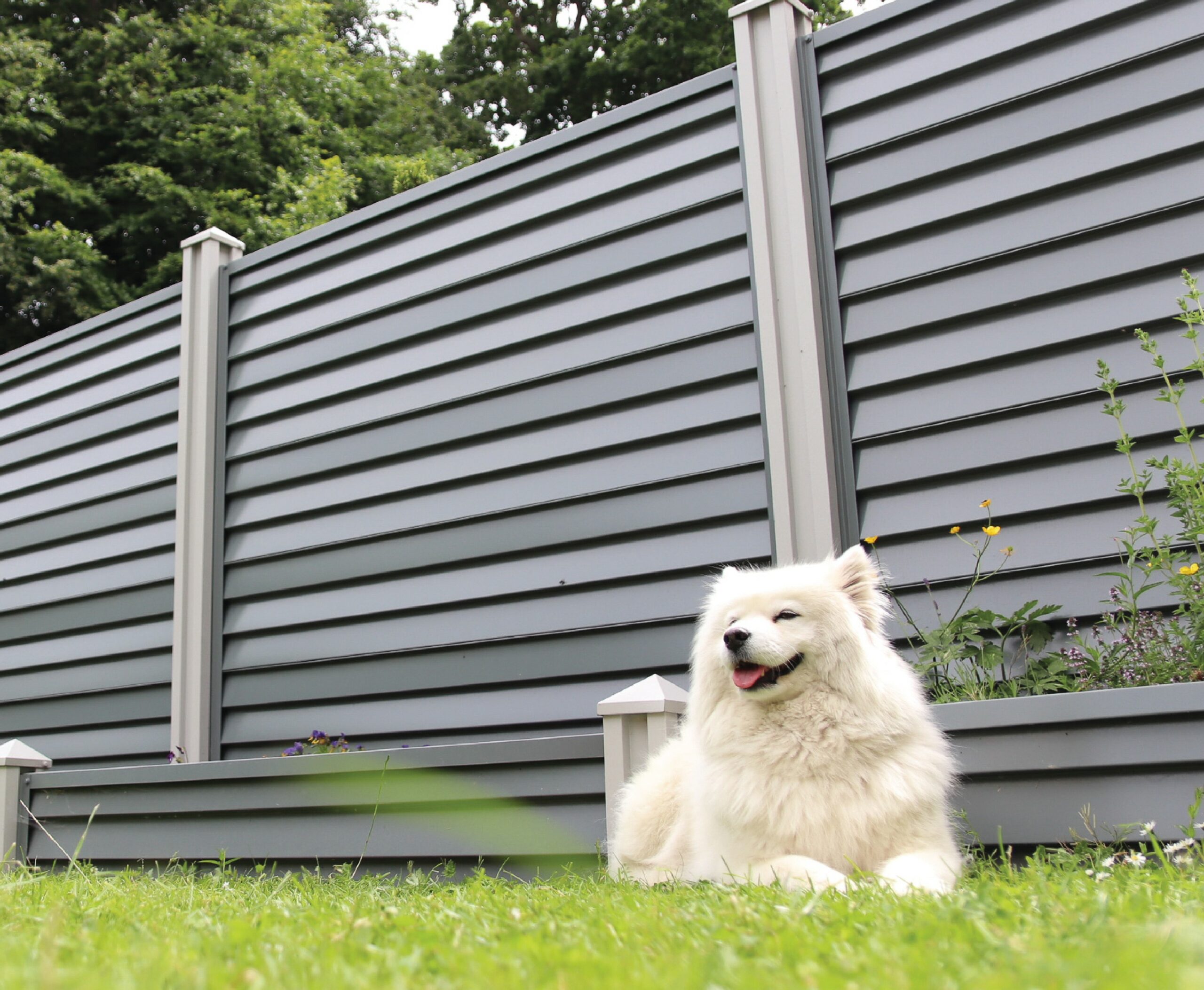 summer garden ideas fencing